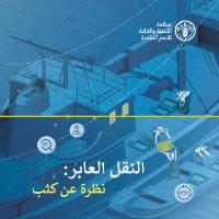 النقل العابر: نظرة عن كثب