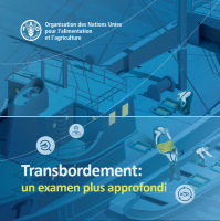 Transbordement: un examen plus approfondi