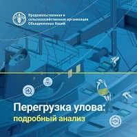 Перегрузка улова: подробный анализ