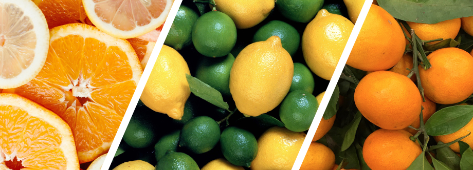 Citrus | FAO | Food and Agriculture Organization of the United Nations