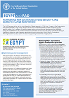 FAO in Egypt | Food and Agriculture Organization of the United Nations