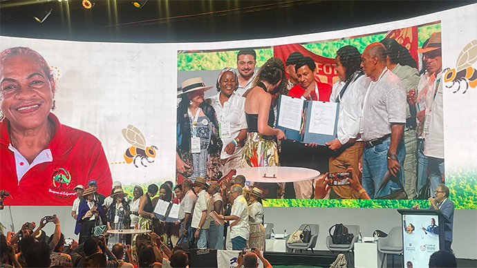 ©FAO / Iqbal Yasmine