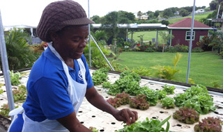 Reducing poverty in Kenya’s coastal communities