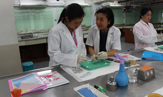 Fighting the rise of superbugs in Asian aquaculture