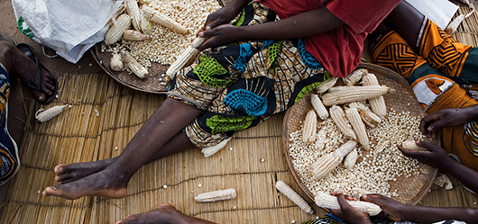 ©FAO/Filipe Branquinho