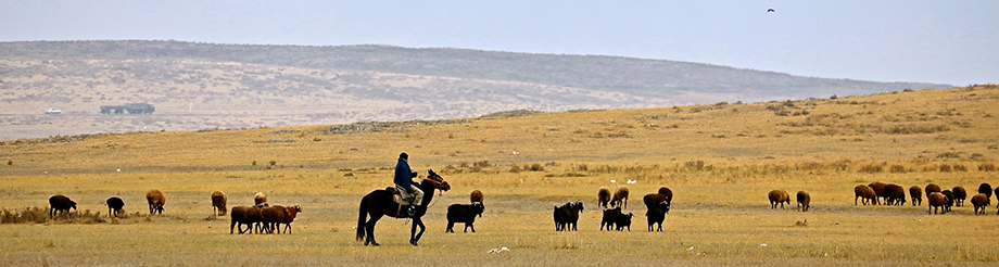 Modern technology improves traditional livelihoods in Kazakhstan | FAO |  Food and Agriculture Organization of the United Nations