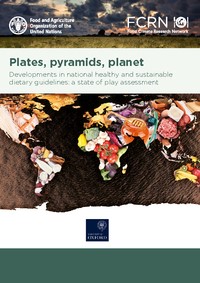 The State of Food-based Dietary Guidelines in Latin America
