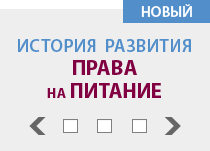 Right to Food Timeline