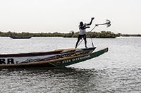 FISH4ACP Senegal