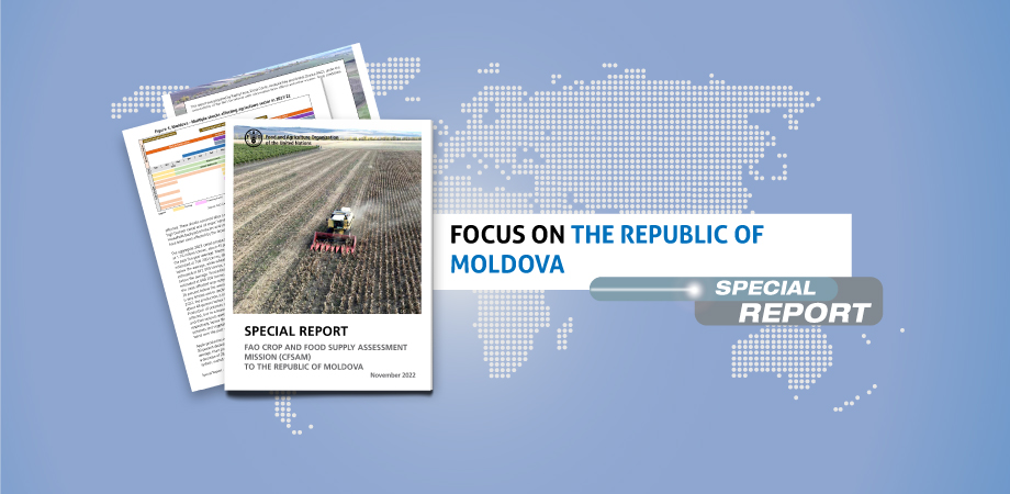 <a href='3/cc3043en/cc3043en.pdf' target='_blank'>En Moldova, la producción alimentaria y las perspectivas de exportación se reducen por la grave sequía y los elevados precios de los insumos en 2022</a> Image 2