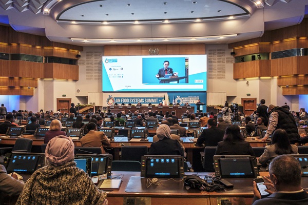 UNFSS4-plenary